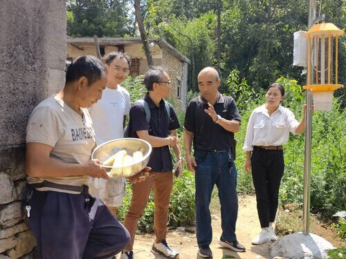 太陽能滅蟲燈(攝:雷光青)